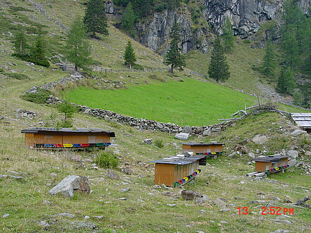 Wanderbienenstand Almrosentracht Oberstalleralm Wanderbienenstand Almrosentracht Oberstalleralm